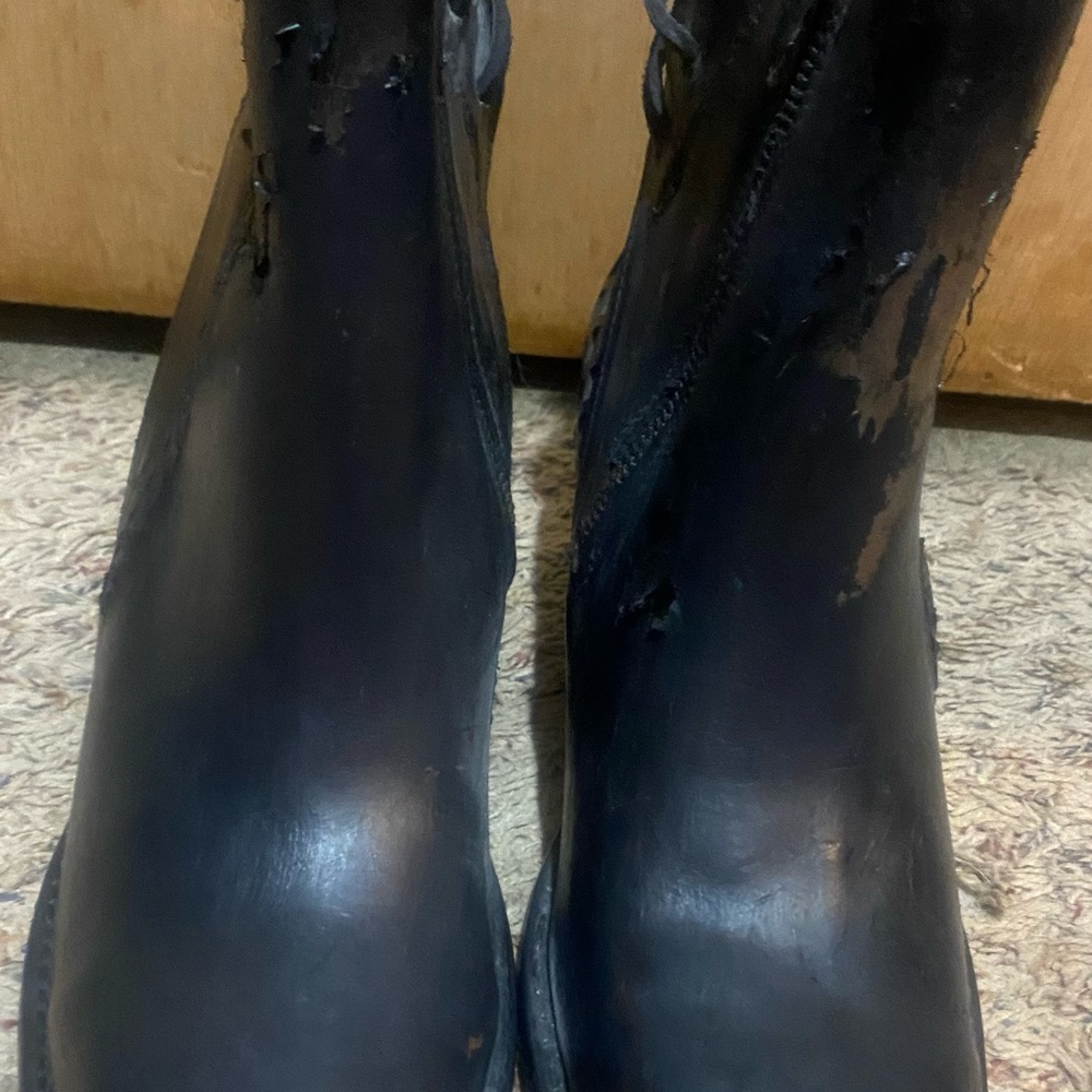 Freebird by Steven Black Ankle Boots